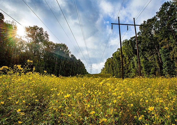 field with transformer