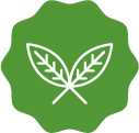 Envrionment Icon