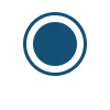 check mark icon