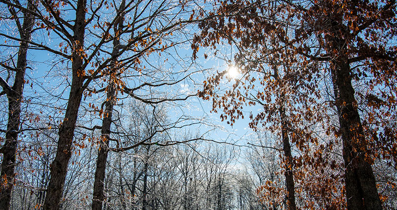 During the cooler months, the company recommends opening the blinds and shades during the day to naturally warm your home.