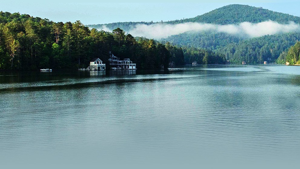 Lake Seed