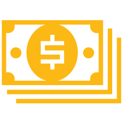 cash icon